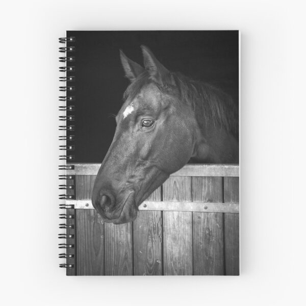 Item preview, Horse portrait designed and sold by Delphimages Art.