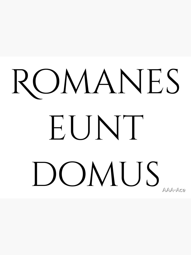 "Romanes eunt domus" Poster for Sale by AAAAce Redbubble