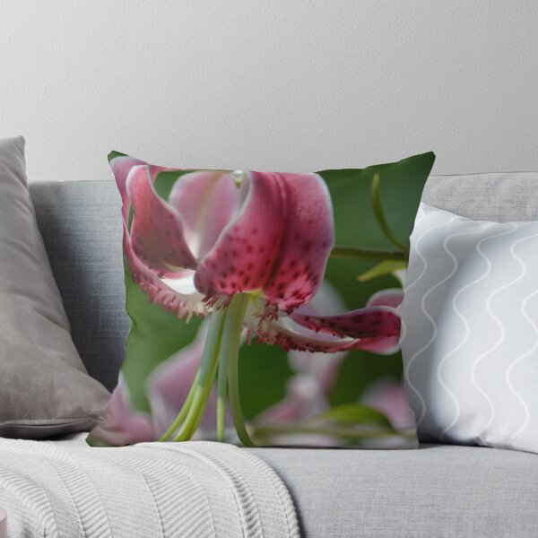 Item preview, Star Gazer Lily Close Up designed and sold by Jeanie93.