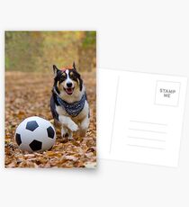 Four-legged Soccer Player Postcards