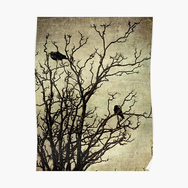 Rustic Crows Black Birds Tree Modern Cottage Chic Art Matted Picture USA A465a Poster