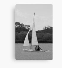 A Man and His Dog - Bradman Avenue, Maroochydore Canvas Print