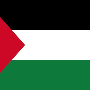 Aperçu de l'œuvre Drapeau de Palestine de Shorlick