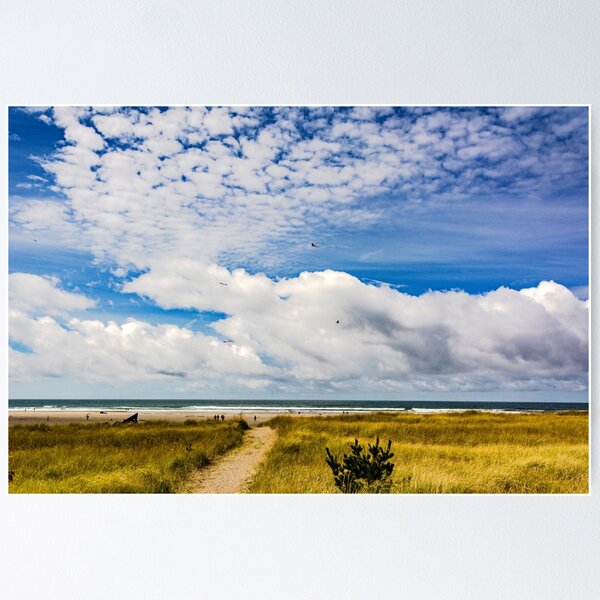 Item preview, World's Longest Beach? designed and sold by Bryan Spellman.