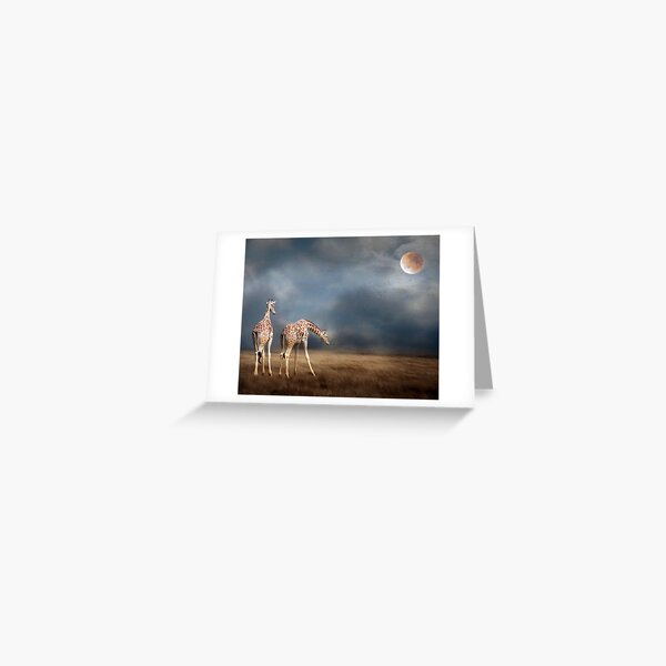 On the Pampas Greeting Card