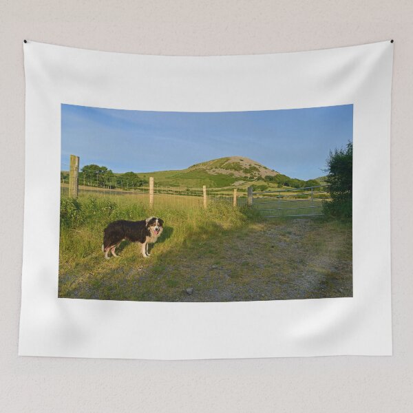 Item preview, Wandering. designed and sold by Michael Haslam.
