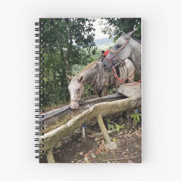 Item preview, Horse Drinking from Trough designed and sold by jmkenny.