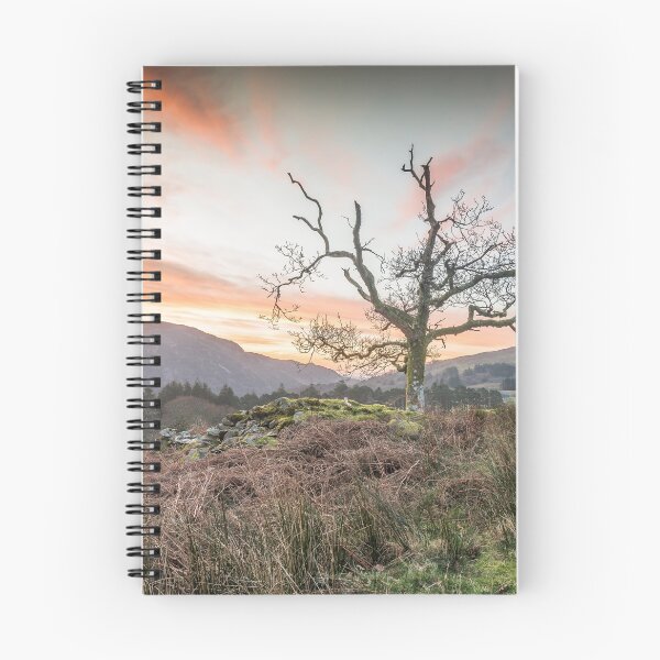 Item preview, Favourite tree designed and sold by Barno123.