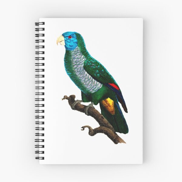 Item preview, Birds of Australia-10 Le Perroquet à face bleue designed and sold by Infopreneur123.