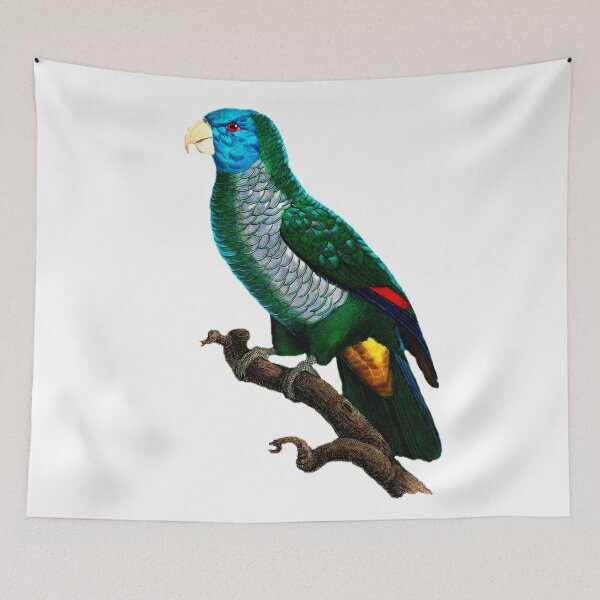 Item preview, Birds of Australia-10 Le Perroquet à face bleue designed and sold by Infopreneur123.