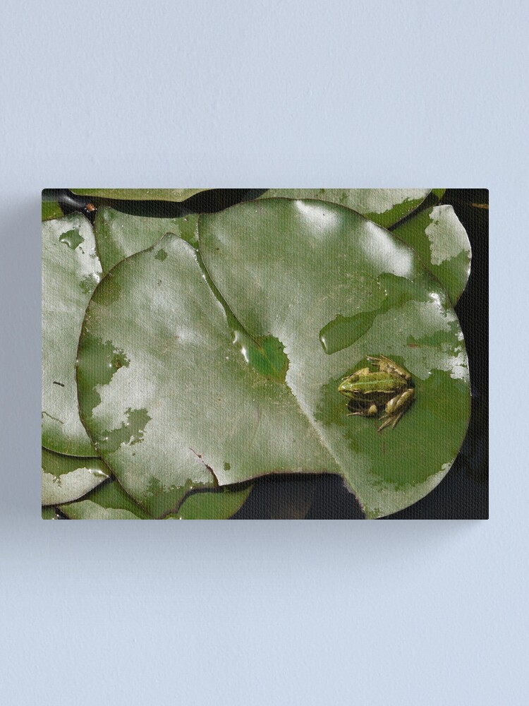 Alternate view of These green things are much more comfortable than the pink things! Canvas Print