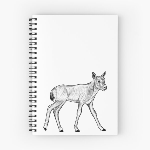 Item preview, Baby Arabian oryx - ink illustration designed and sold by LorenDowding.