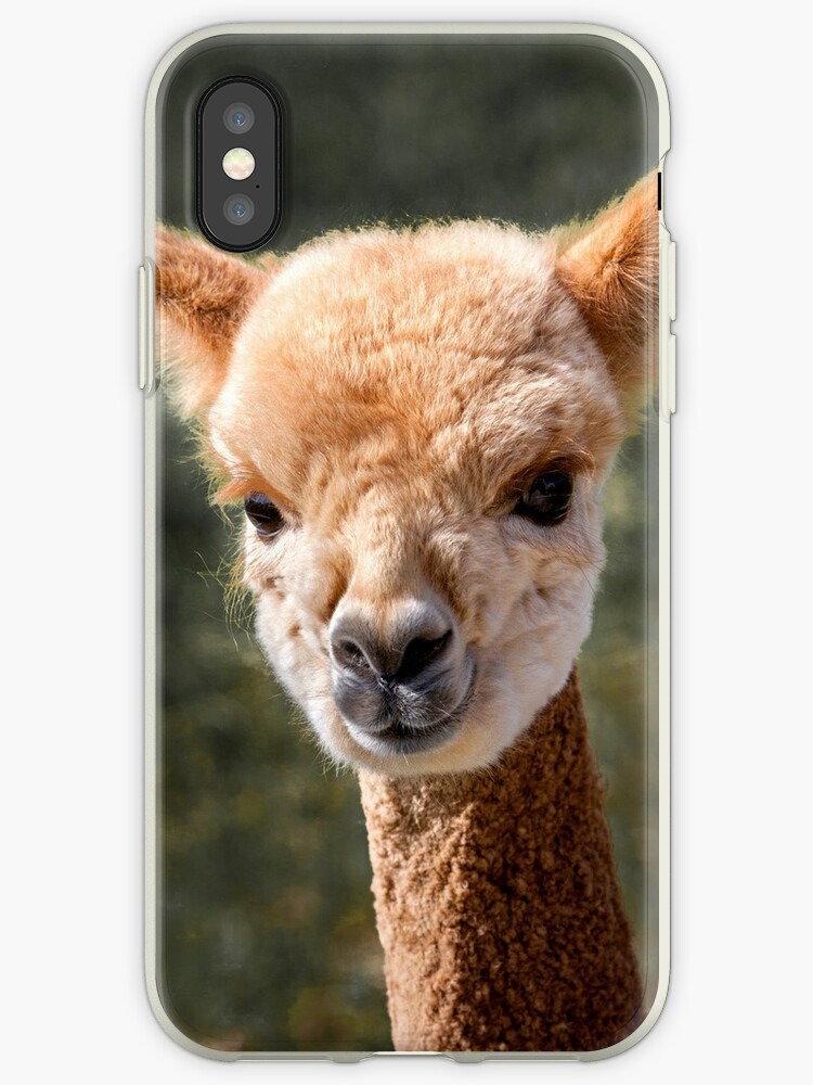 alpaca iphone xs case alpaca iphone xs case