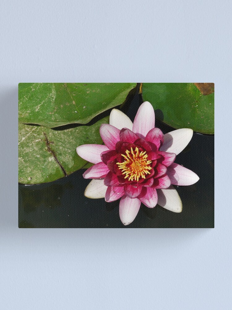 Alternate view of Pink thing Canvas Print