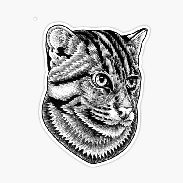 Amur tiger face big cat ink illustration T-Shirt by Loren Dowding