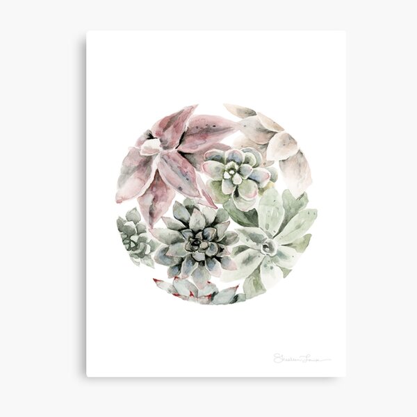 Circular Succulents Metal Print