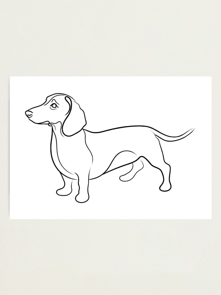 dachshund line art