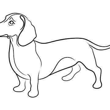 Dachshund store line drawing