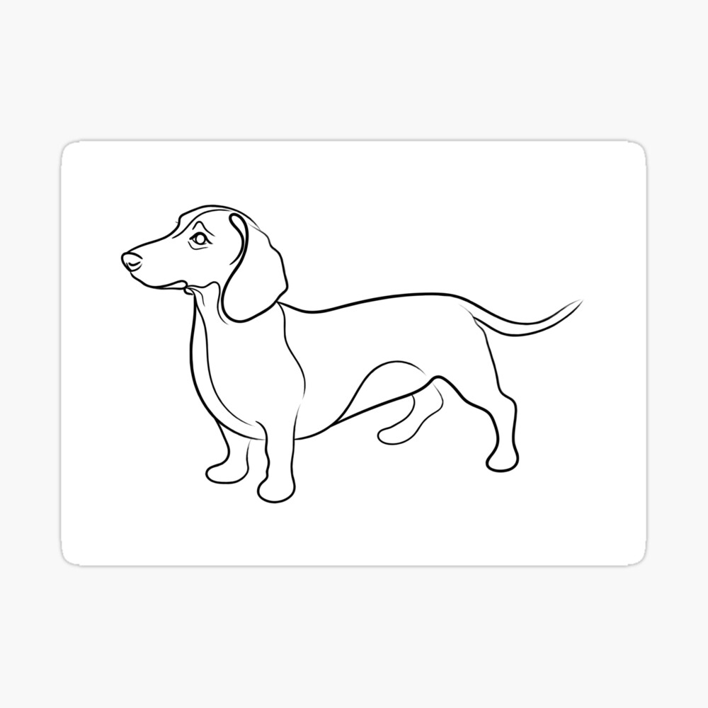 Drawings Woman Walking Dog Royalty-Free Images, Stock Photos & Pictures |  Shutterstock