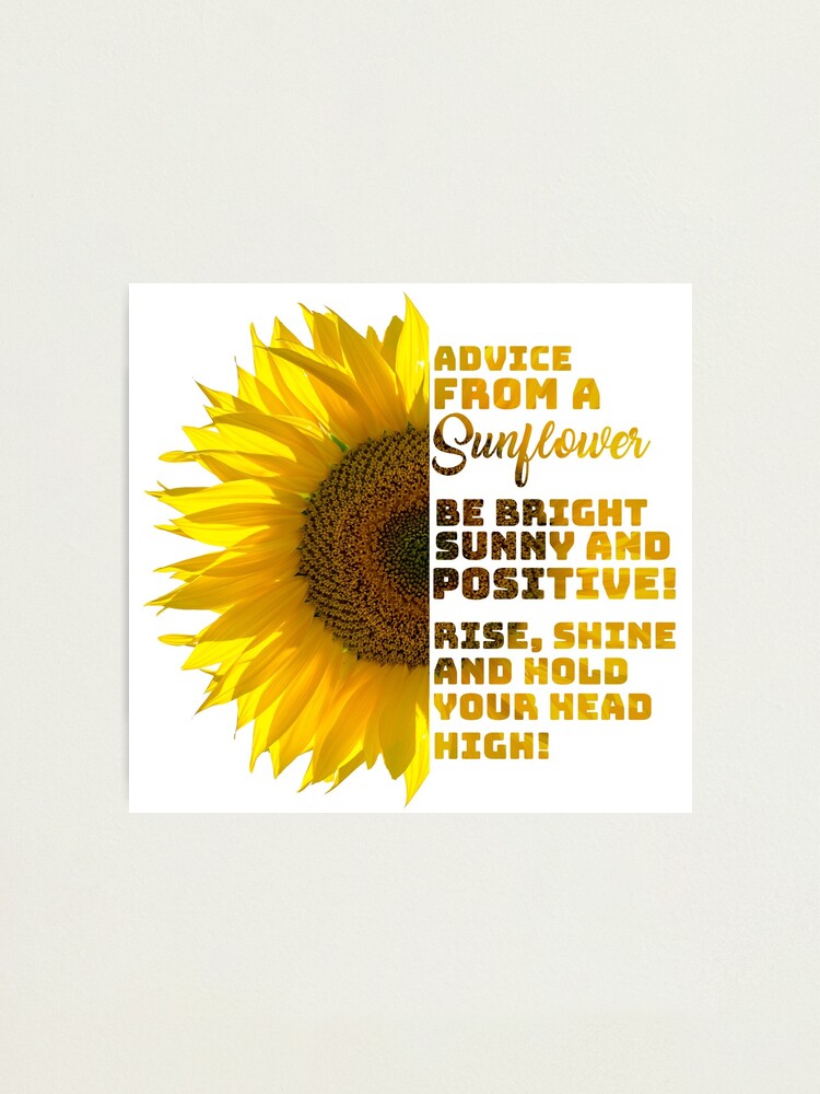 Free Free Sunflower Waterslide Svg 630 SVG PNG EPS DXF File