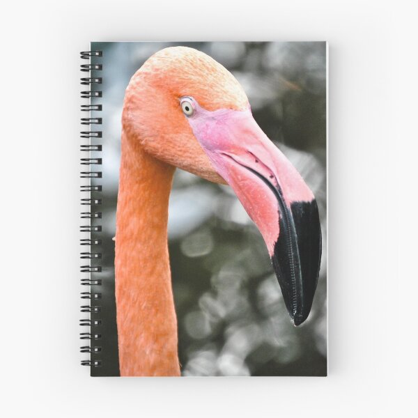 Item preview, Flamingo  designed and sold by Jeanie93.