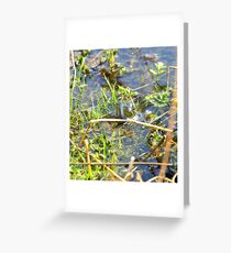 Rare shot Greeting Card