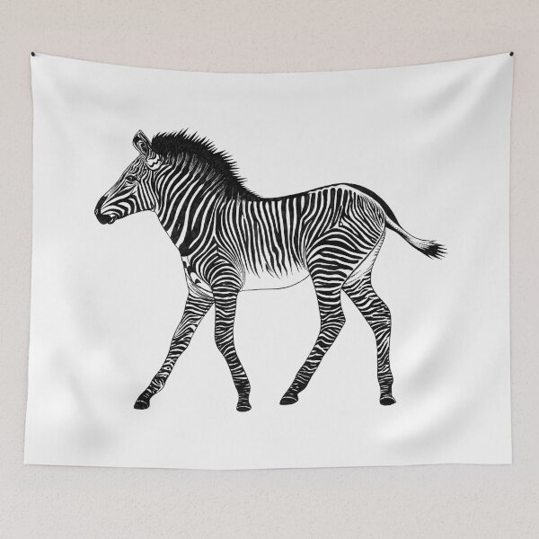 Item preview, Zebra foal - ink illustration designed and sold by LorenDowding.