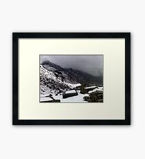Nature's challenge Framed Print