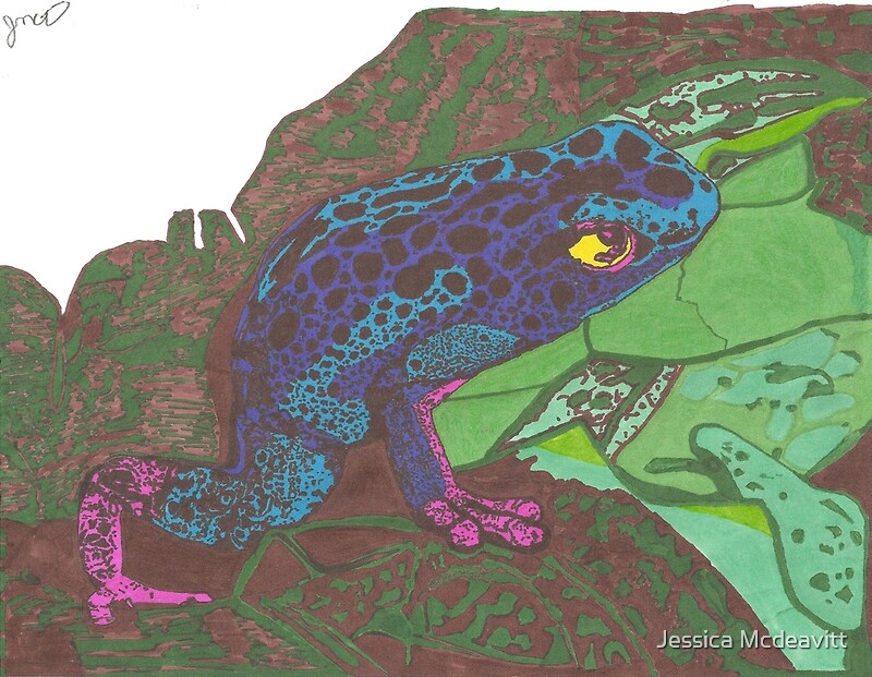 "Poison dart frog ink drawing" by Jessica Mcdeavitt | Redbubble