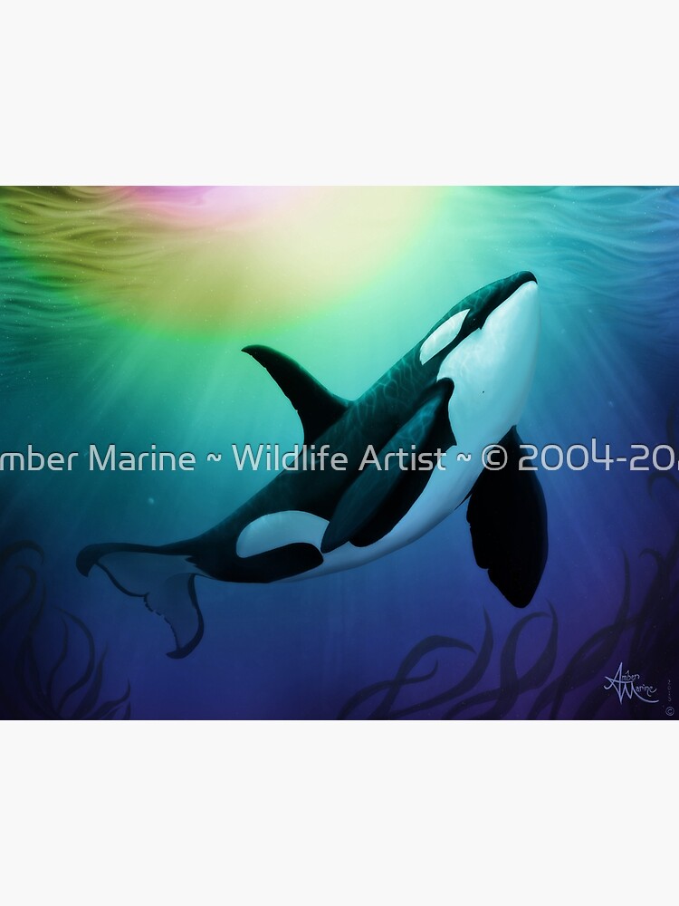 ""The Dreamer Ascends" by artist Amber Marine (Copyright 2015) Orca