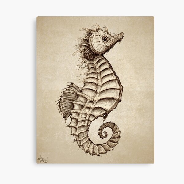 "Fantasy Seahorse" by Amber Marine~ vintage style ink illustration, © 2016 Canvas Print