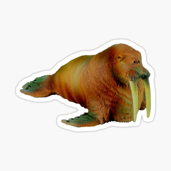 Cute Baby Sea Lion Stickers Redbubble