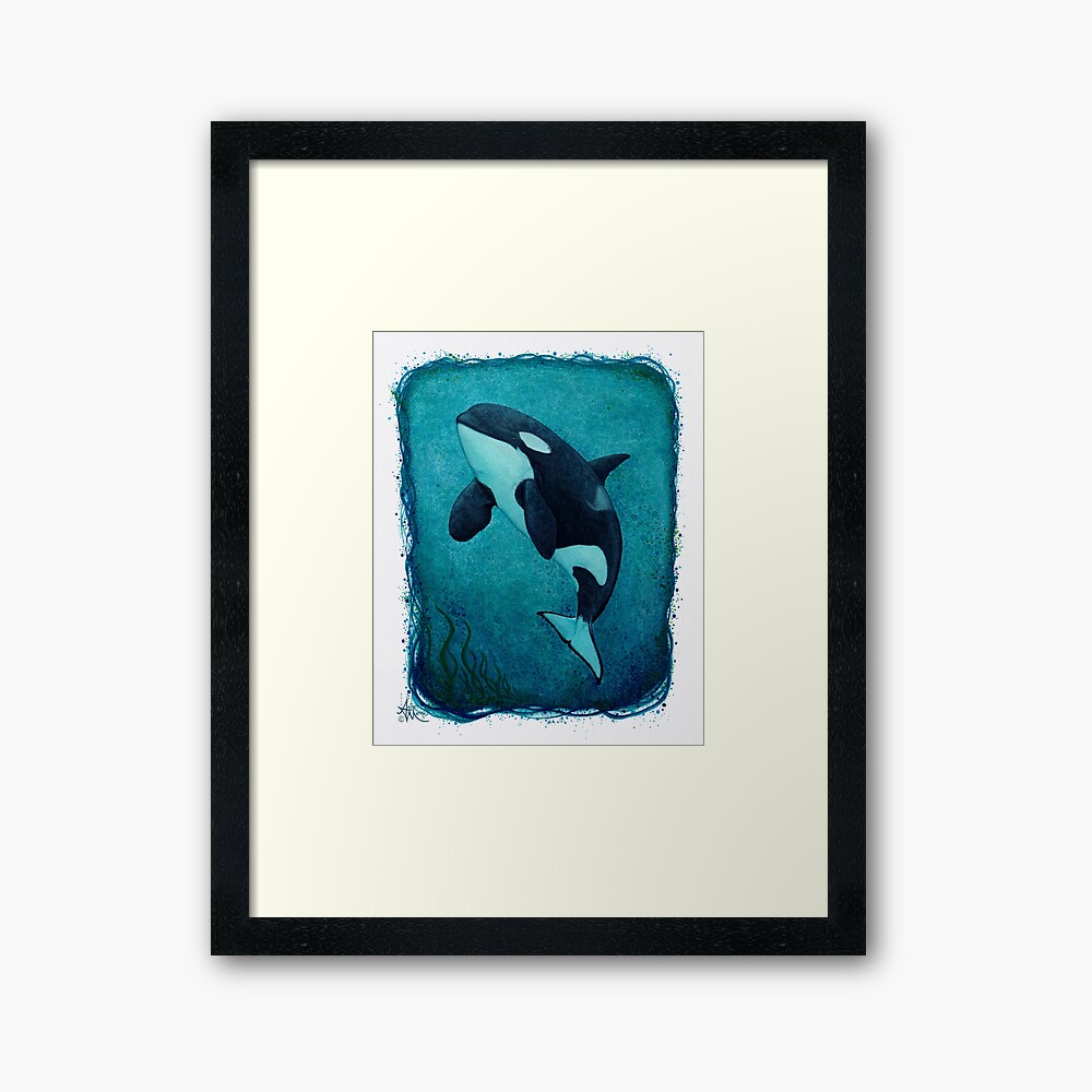 "The Matriarch" by Amber Marine ~ killer whale / orca watercolor painting, (J2 Granny) art © 2016 Framed Art Print