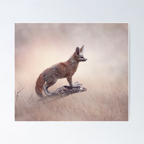 Item preview, Fennec Fox on a tree in a grassland designed and sold by svetlanna.