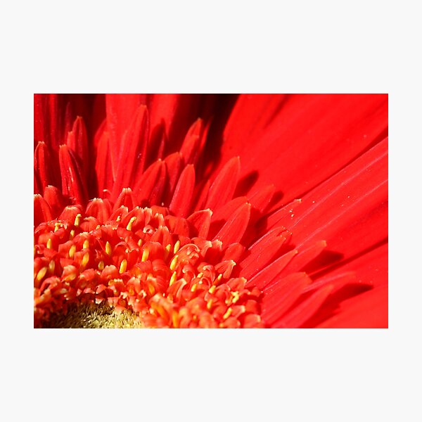 Item preview, Ablaze designed and sold by Innpictime.