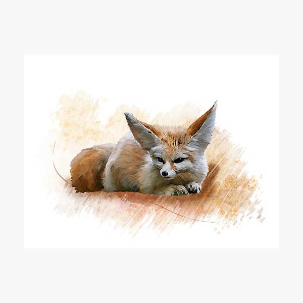Digital Painting of Fennec Fox resting Photographic Print