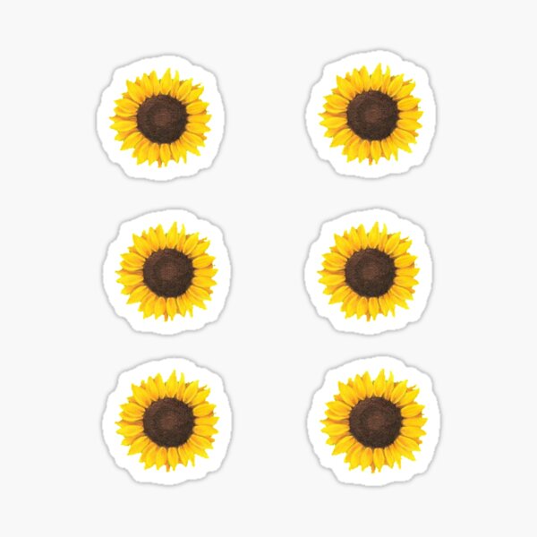 Item preview, six small sunflowers designed and sold by taylorrsheetss.