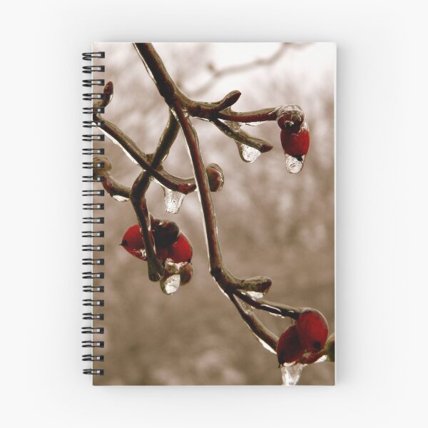Item preview, Dogwood in Winter   ^ designed and sold by ctheworld.