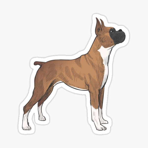 Boxer Dog Sticker