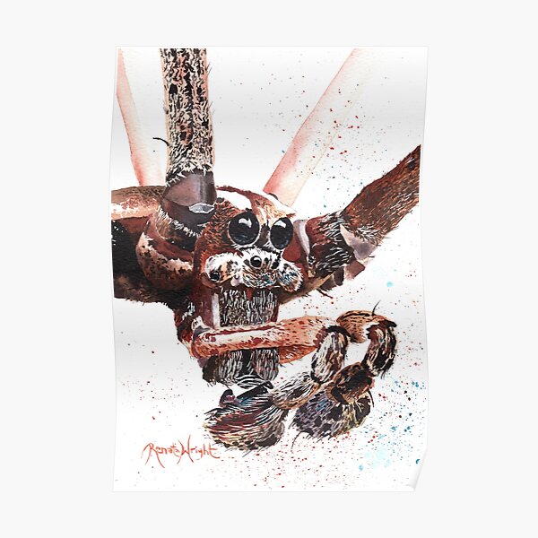 Ned - Web Casting Spider Poster