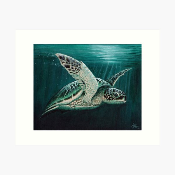 "Moonlit" by Amber Marine ~ Acrylic sea turtle painting, art © 2015 Art Print