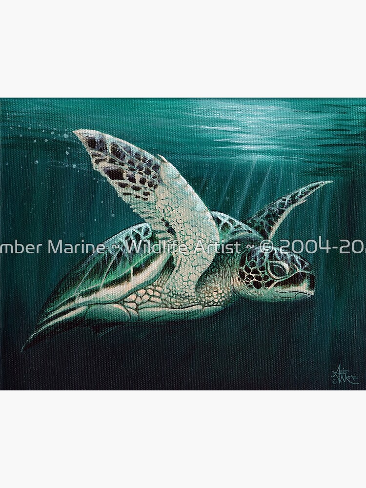 "Moonlit" by Amber Marine ~ Acrylic sea turtle painting, art © 2015 by AmberMarine