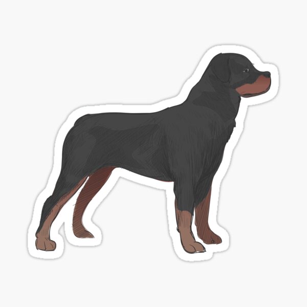 Rottweiler Hund Sticker
