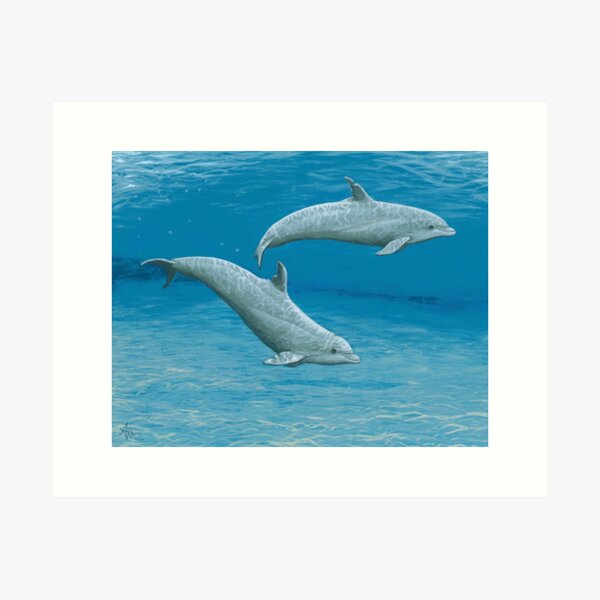 "Sandscape" by Amber Marine ~ acrylic dolphin painting, art © 2014 Art Print
