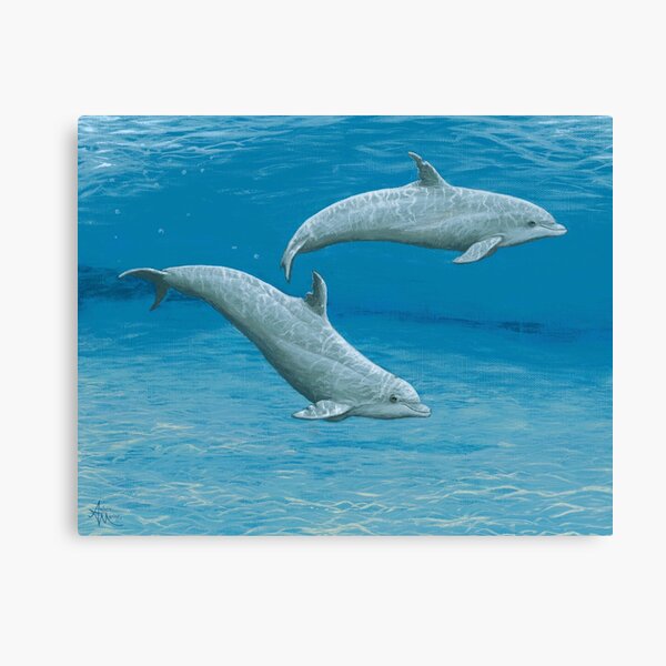 "Sandscape" by Amber Marine ~ acrylic dolphin painting, art © 2014 Canvas Print