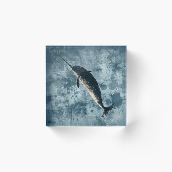 "Jackson the Narwhal" by Amber Marine ~ digital painting, art © 2015 Acrylic Block