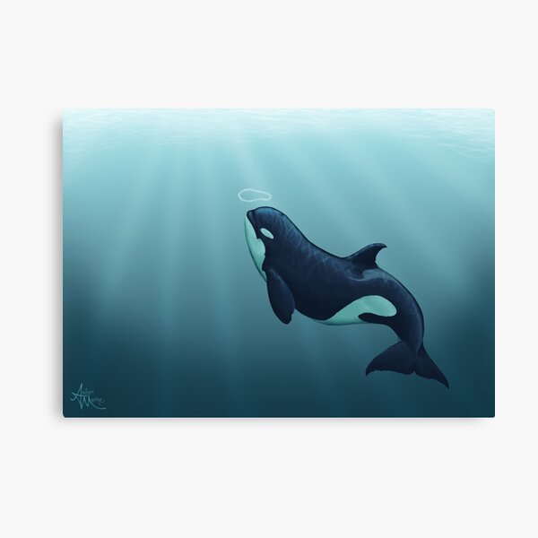 "Subantarctic" by Amber Marine, type D orca art, © 2014 Canvas Print