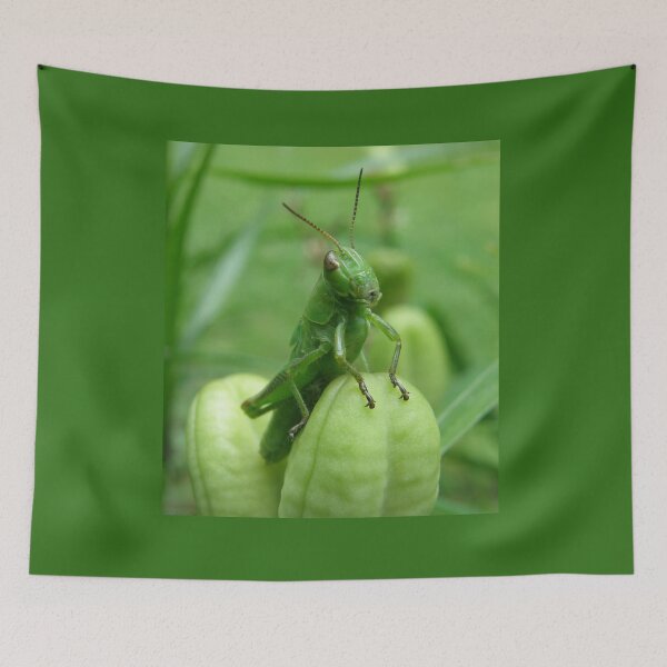 Item preview, What? Is There A Problem? designed and sold by Len Bomba.