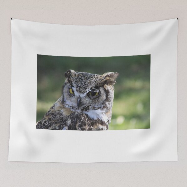 Item preview, Great Horned Owl designed and sold by Alyce Taylor.