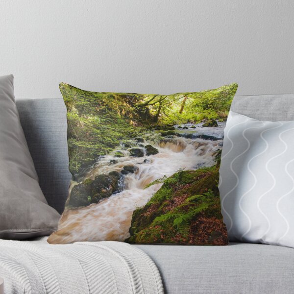 Item preview, Raging Torrent designed and sold by Andy Gill.